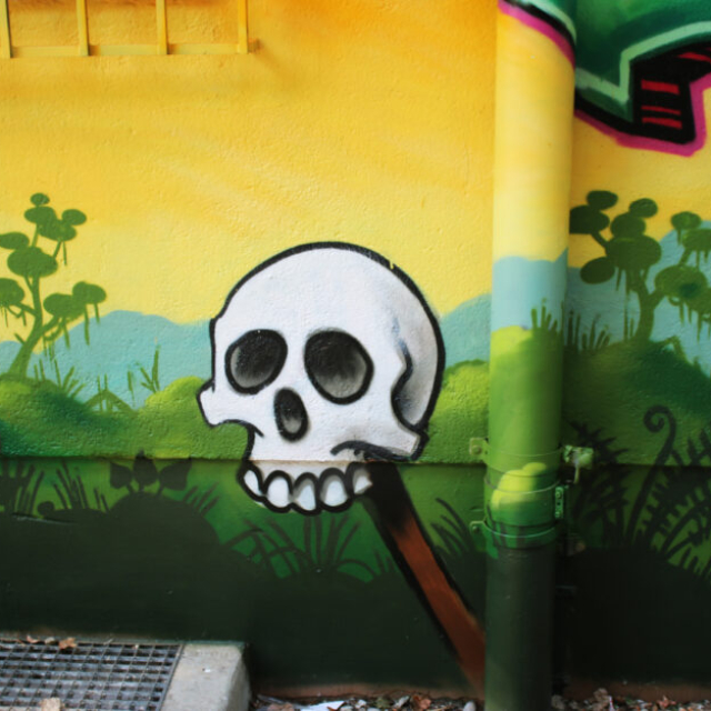graffiti skull jungle louzeh lou zeh augsburg hochfeld